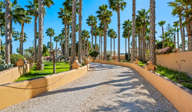 Begagnad - Finca - Rafal