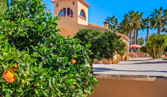 Begagnad - Finca - Rafal