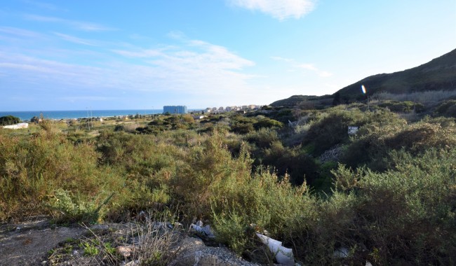 Plot - Resale - Guardamar - Los Secanos