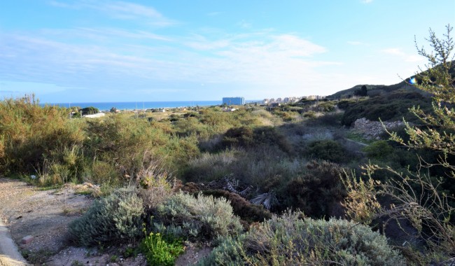 Resale - Plot - Guardamar - Los Secanos