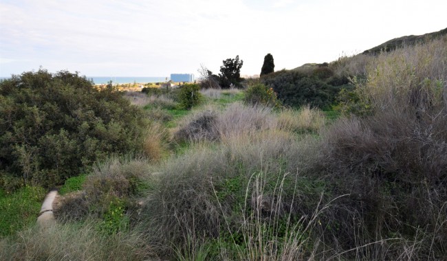 Resale - Plot - Guardamar - Los Secanos