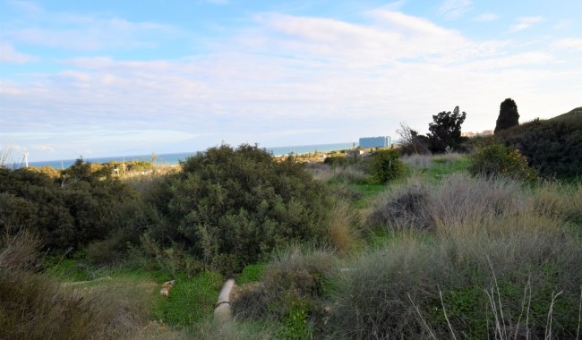 Resale - Plot - Guardamar - Los Secanos