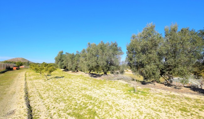 Begagnad - Radhus - Guardamar - Guardamar del Segura