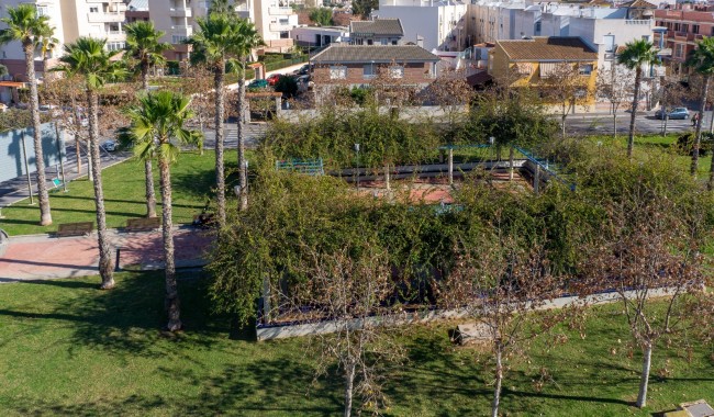 Begagnad - Lägenhet - Torrevieja - Torrevieja town