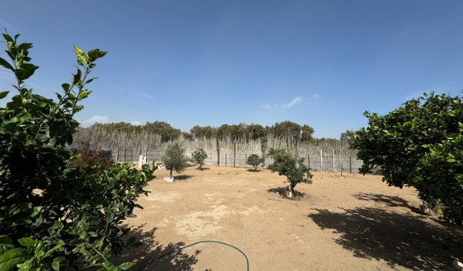 Resale - Townhouse - Guardamar - Beach Guardamar