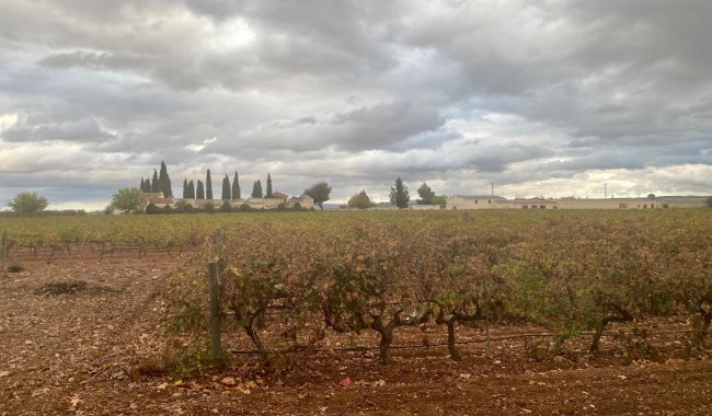 Segunda mano - Bodega - Albacete