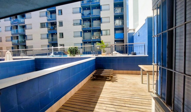 Segunda mano - Apartamento - Torrevieja - Playa de los locos