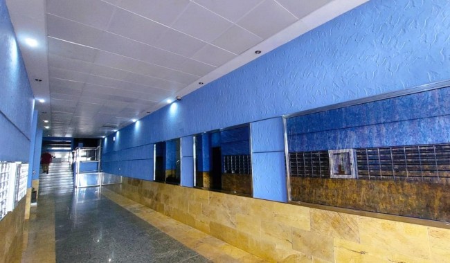 Segunda mano - Apartamento - Torrevieja - Playa de los locos