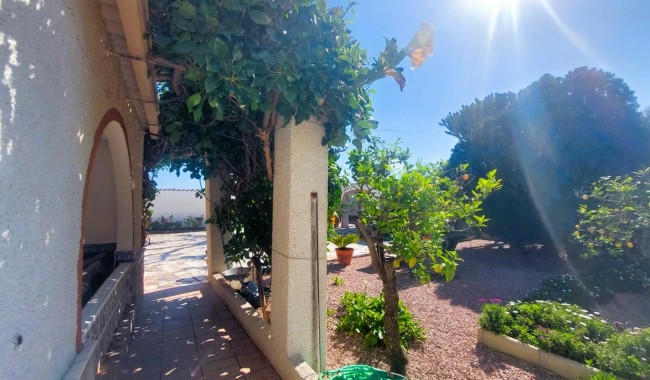 Begagnad - Finca - La Marina
