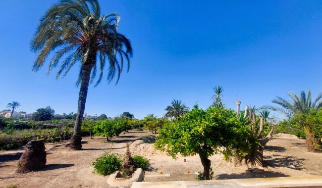 Begagnad - Finca - La Marina