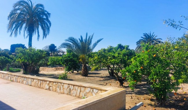 Begagnad - Finca - La Marina