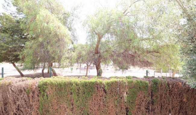 Brukt - Bungalow - Orihuela Costa - Punta Prima
