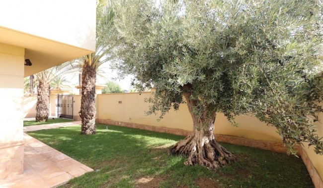 Sprzedaż - Willa - Cabo Roig