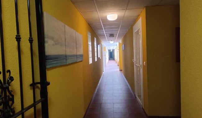 Sprzedaż - Apartament - Rafal