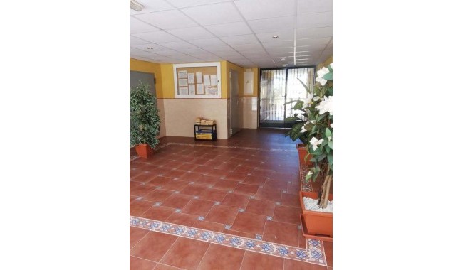 Sprzedaż - Apartament - Rafal