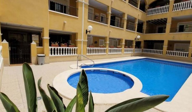 Sprzedaż - Apartament - Rafal
