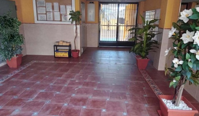 Sprzedaż - Apartament - Rafal