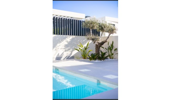 Begagnad - Villa - Algorfa - La Finca golf