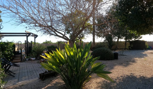 Resale - Finca - Orihuela - Orihuela Costa