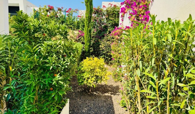 Resale - Villa - Algorfa - Club de Golf La Finca