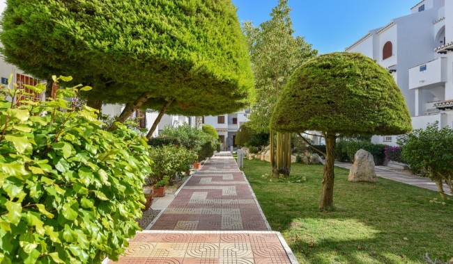 Sprzedaż - Apartament - Ciudad Quesada