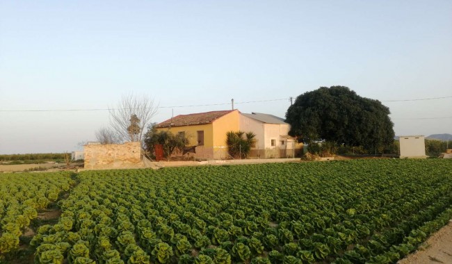 Villa - Begagnad - Orihuela - Orihuela Costa