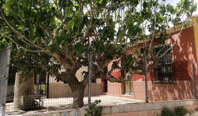 Resale - Villa - Orihuela - Orihuela Costa
