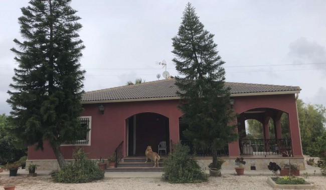 Begagnad - Villa - Orihuela - Callosa De Segura