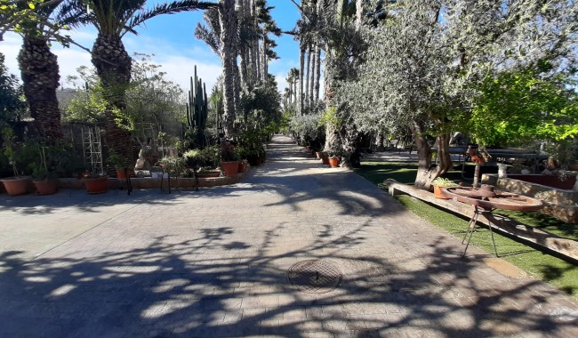 Sprzedaż - Finka - Orihuela - Orihuela Costa