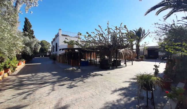 Sprzedaż - Finka - Orihuela - Orihuela Costa