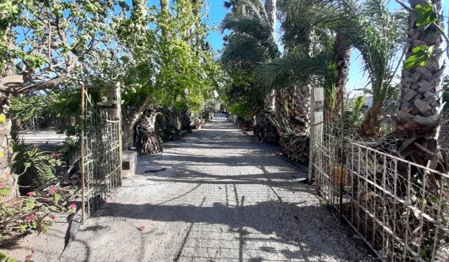 Sprzedaż - Finka - Orihuela - Orihuela Costa