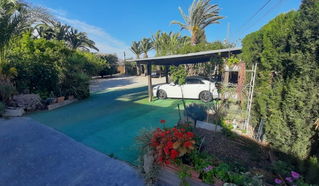 Sprzedaż - Finka - Orihuela - Orihuela Costa