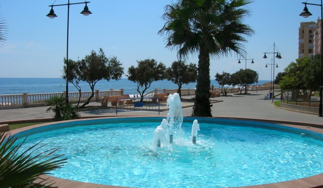Sprzedaż -  - Torrevieja