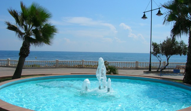 Sprzedaż -  - Torrevieja