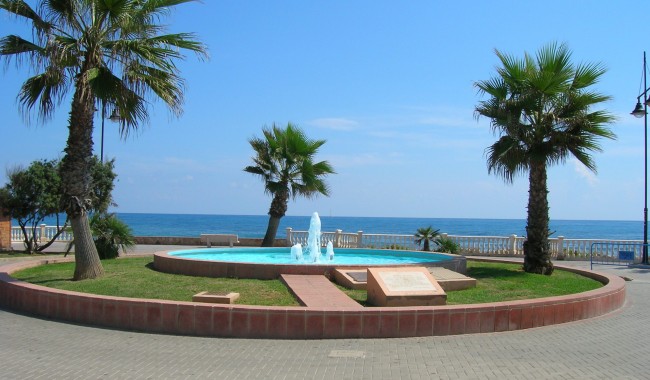 Sprzedaż -  - Torrevieja