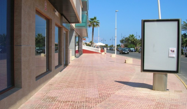 Sprzedaż -  - Torrevieja