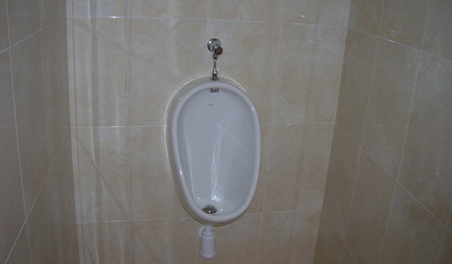 Sprzedaż -  - Torrevieja