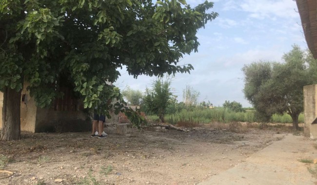 Begagnad - Finca - Orihuela - Callosa De Segura