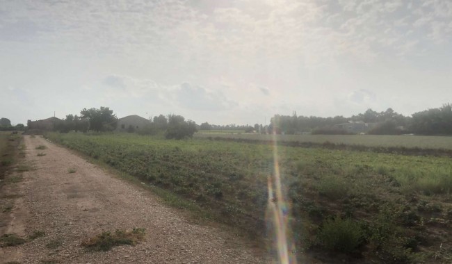 Begagnad - Finca - Orihuela - Callosa De Segura
