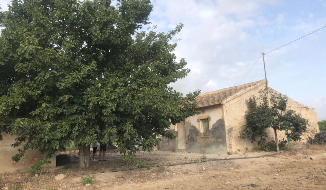 Begagnad - Finca - Orihuela - Callosa De Segura