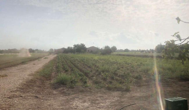 Begagnad - Finca - Orihuela - Callosa De Segura