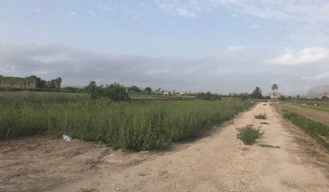Begagnad - Finca - Orihuela - Callosa De Segura