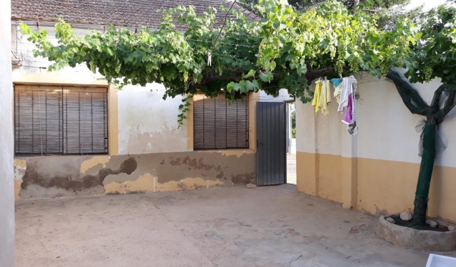 Segunda mano - Finca - Daya Nueva