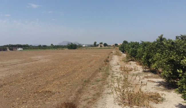 Segunda mano - Finca - Daya Nueva