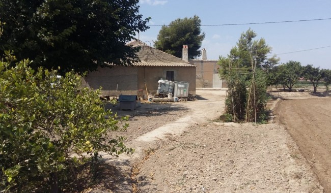 Segunda mano - Finca - Daya Nueva