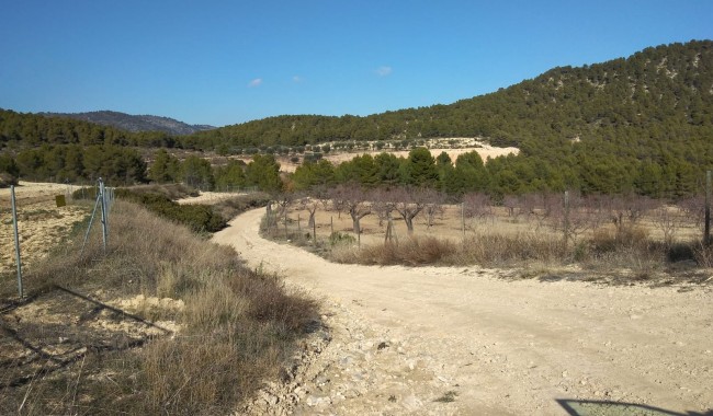 Segunda mano - Finca - Bullas
