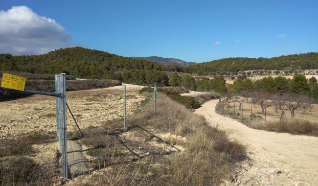 Segunda mano - Finca - Bullas