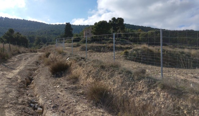 Segunda mano - Finca - Bullas