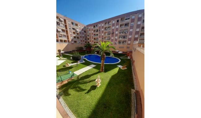 Apartamento - Segunda mano - Torrevieja - Torrevieja