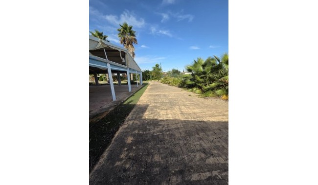  - Begagnad - Orihuela - Callosa De Segura